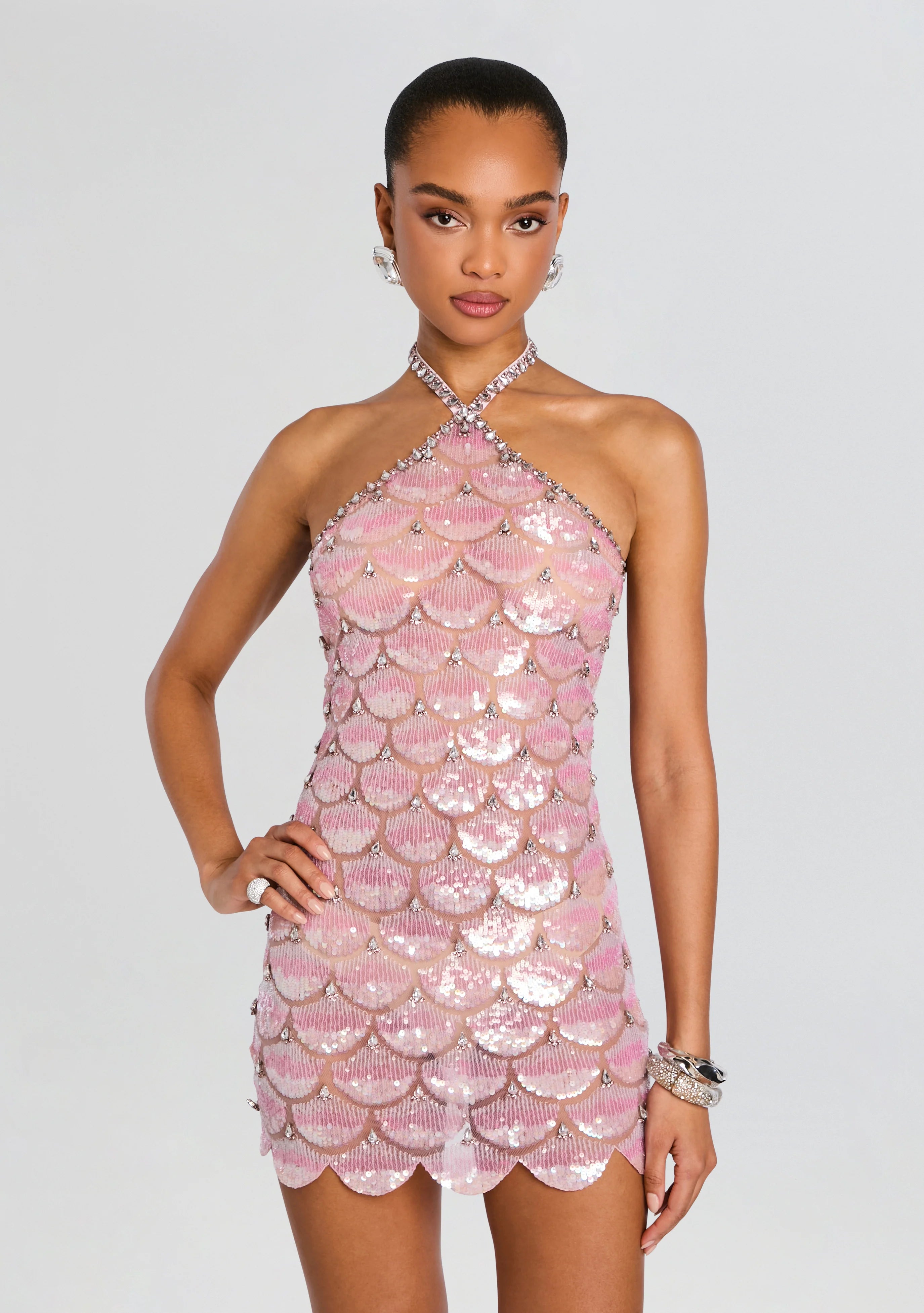 Ninette Embroidered Mini Dress