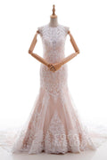 Trumpet-Mermaid Court Train Lace Tulle Wedding Dress LD4519