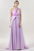 A-Line Sweep-Brush Train Tulle Formal Dress CS0660