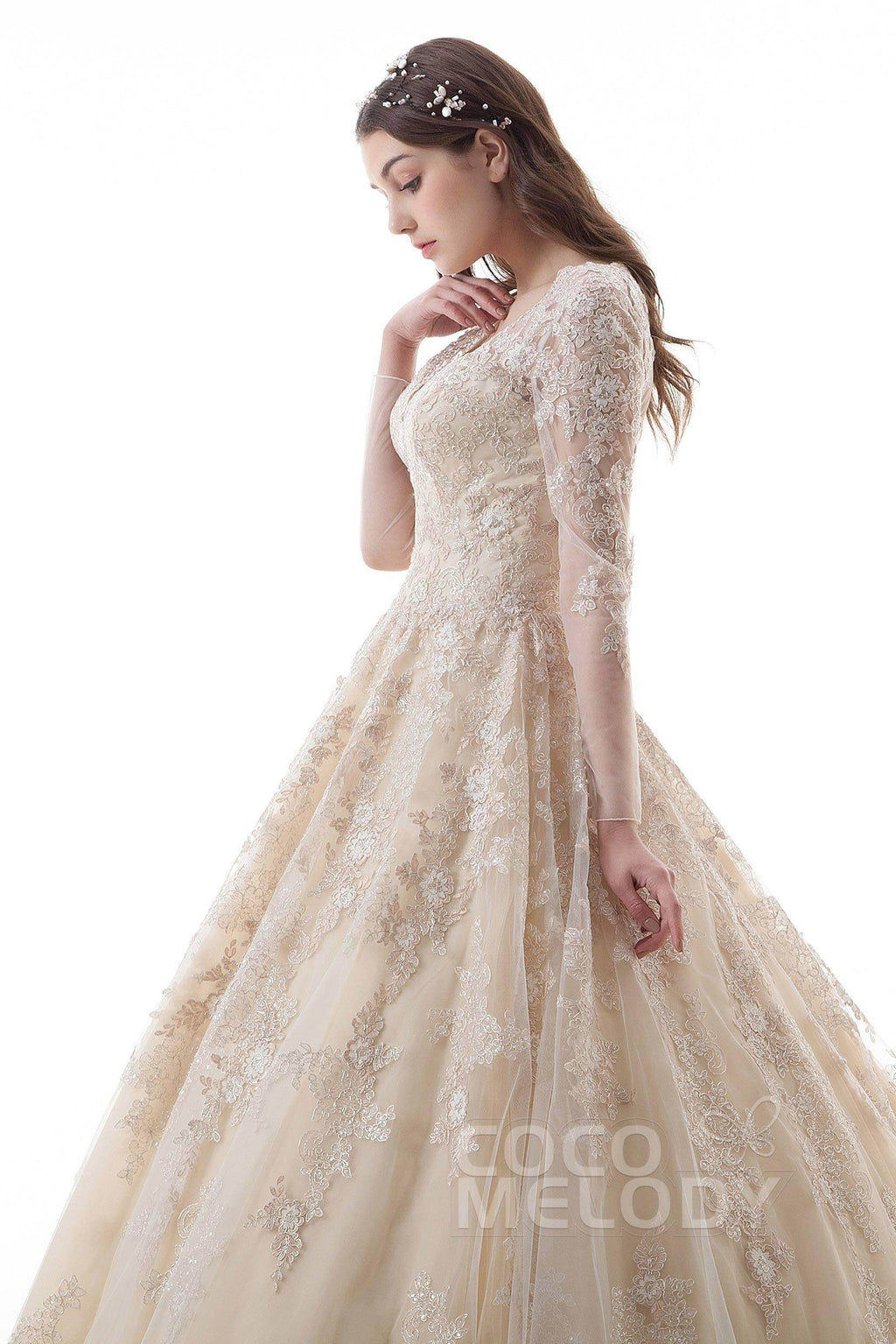 Princess Court Train Lace Tulle Gothic Wedding Dress LD4622