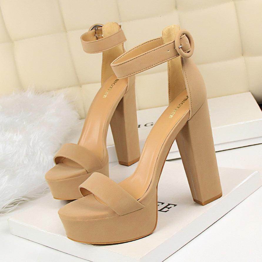 Suede Ankle Strap  Block Heels 550122184120